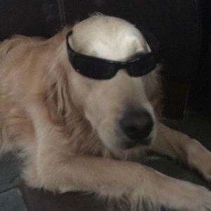 Meet your Posher, Evan